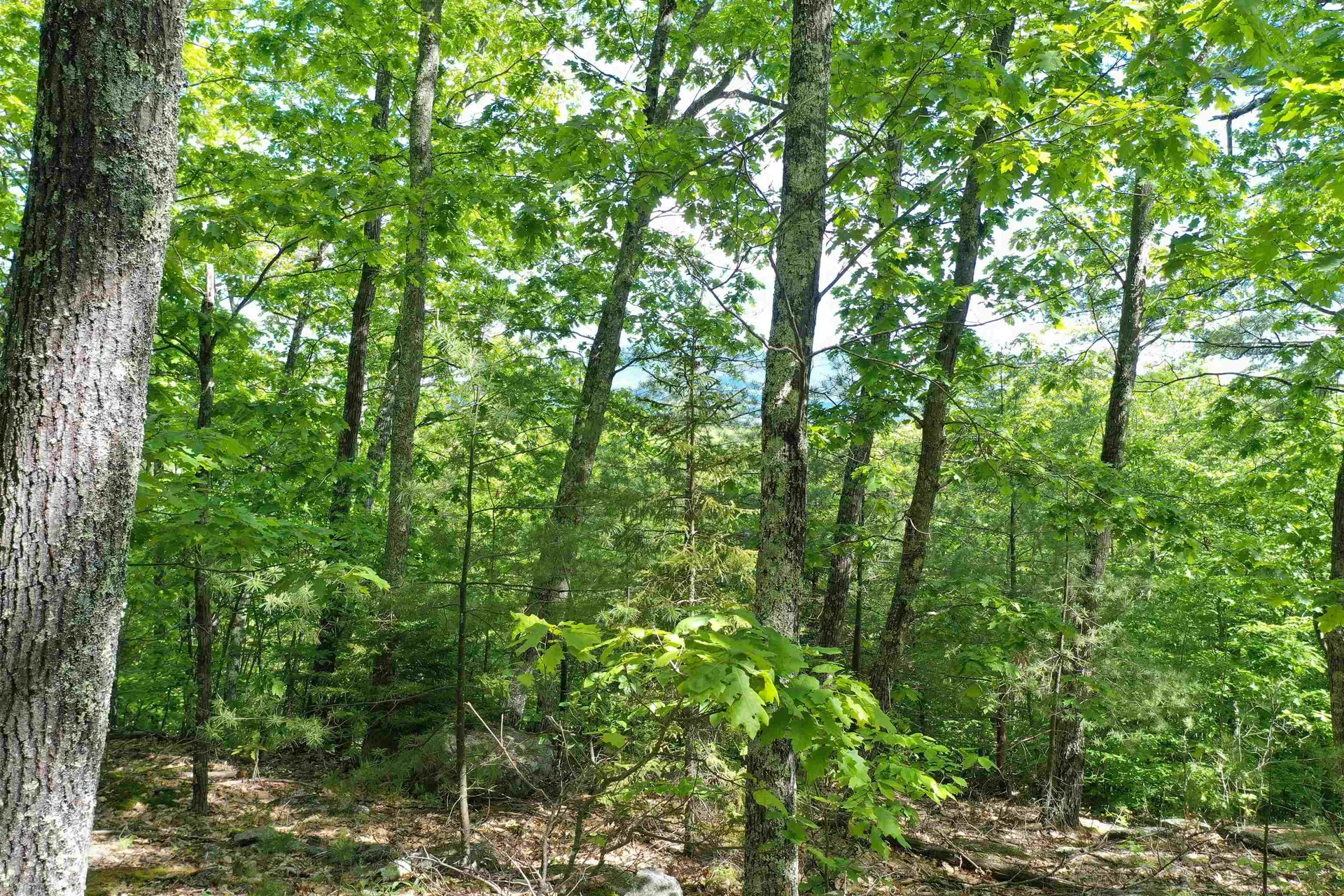 Grace Road Wilmot NH 03287