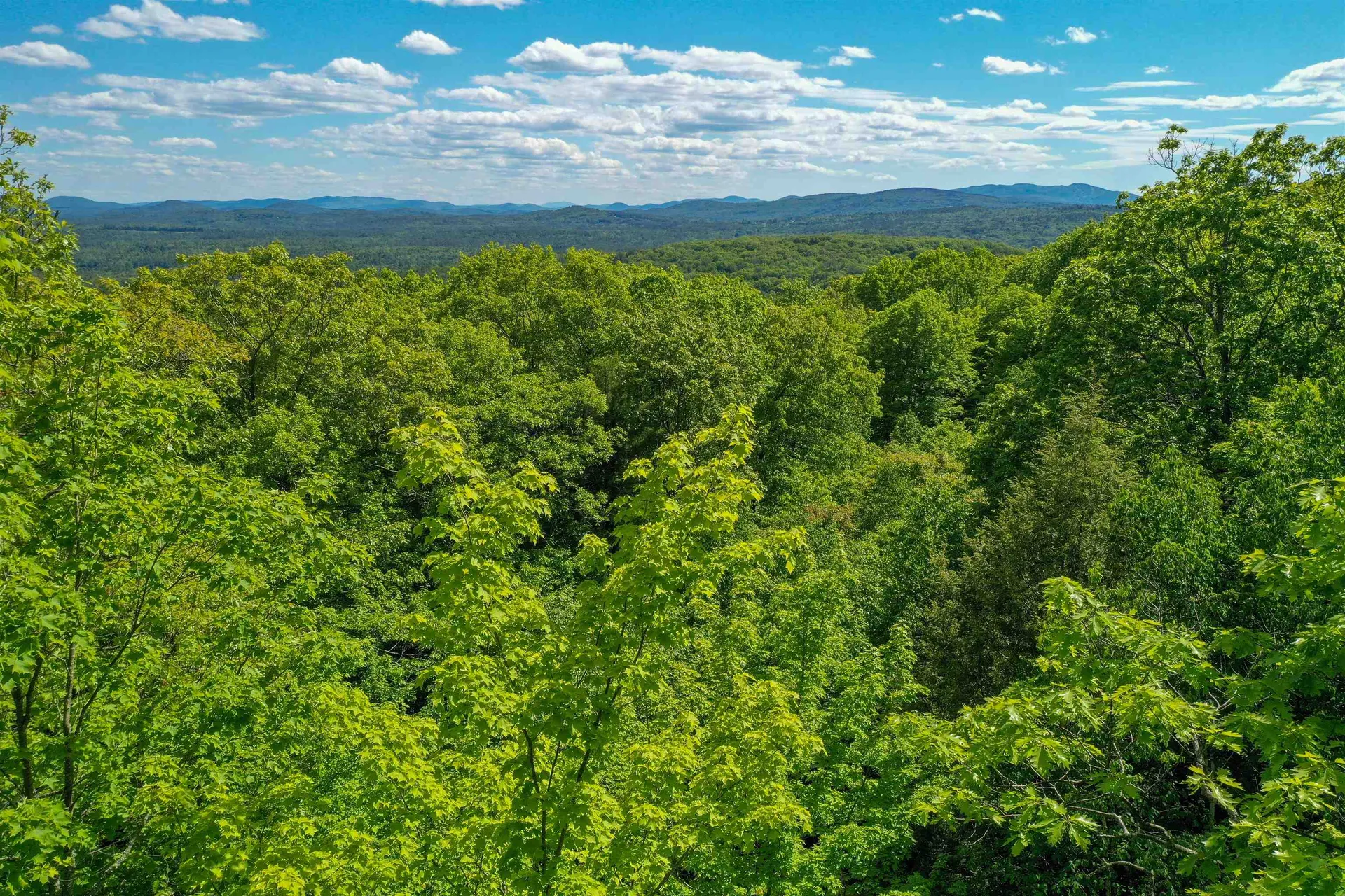 Grace Road Wilmot NH 03287