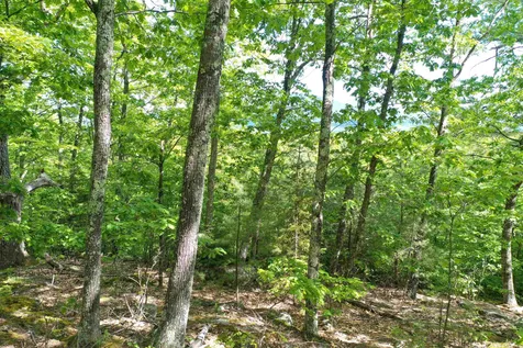 Grace Road Wilmot NH 03287