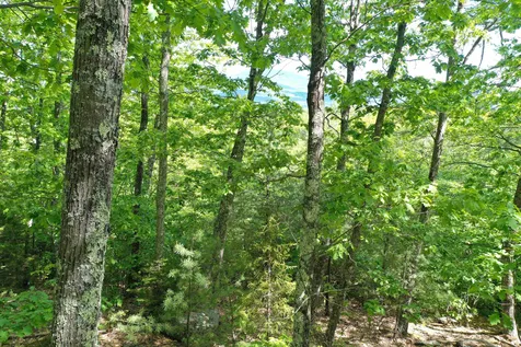 Grace Road Wilmot NH 03287