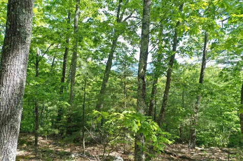 Grace Road Wilmot NH 03287