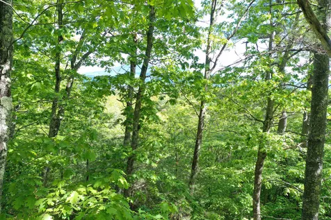 Grace Road Wilmot NH 03287