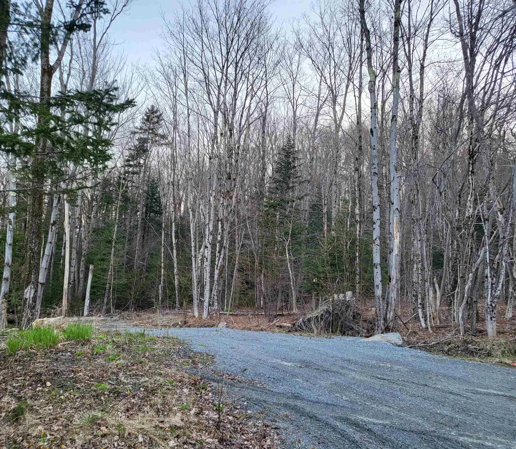 1900 Howe Pond Road Readsboro VT 05350