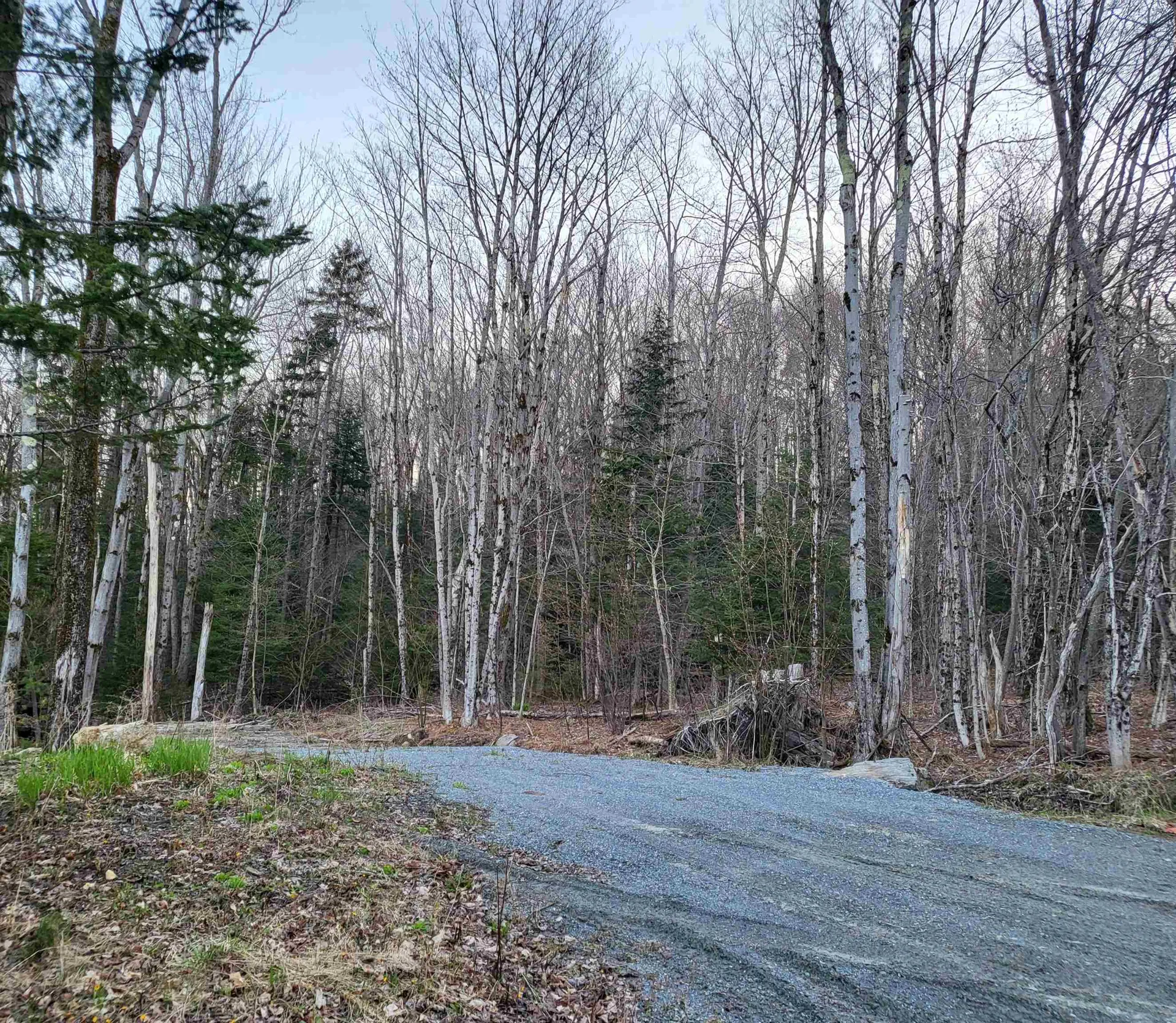 1900 Howe Pond Road Readsboro VT 05350