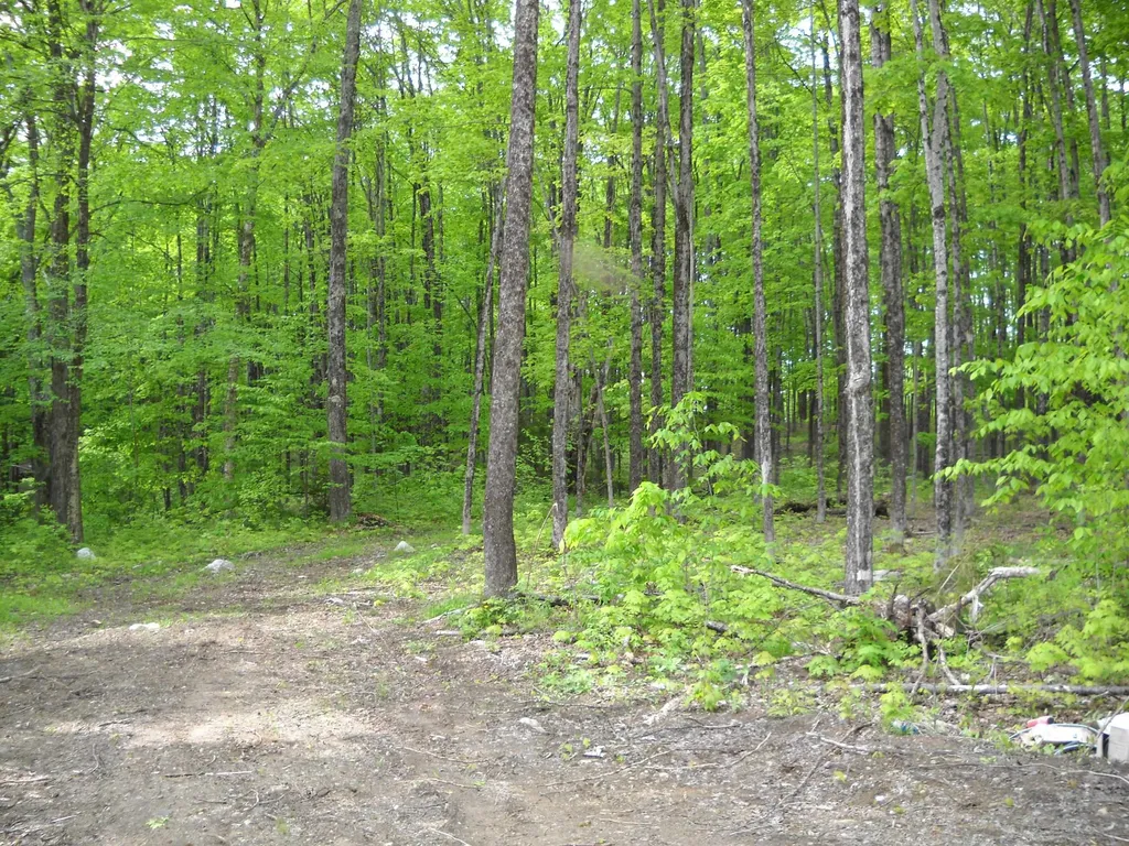 00 Peterson Road Topsham VT 05086