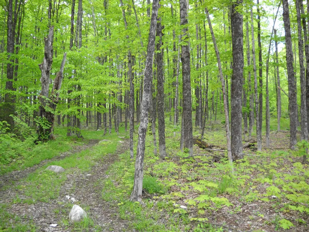 00 Peterson Road Topsham VT 05086