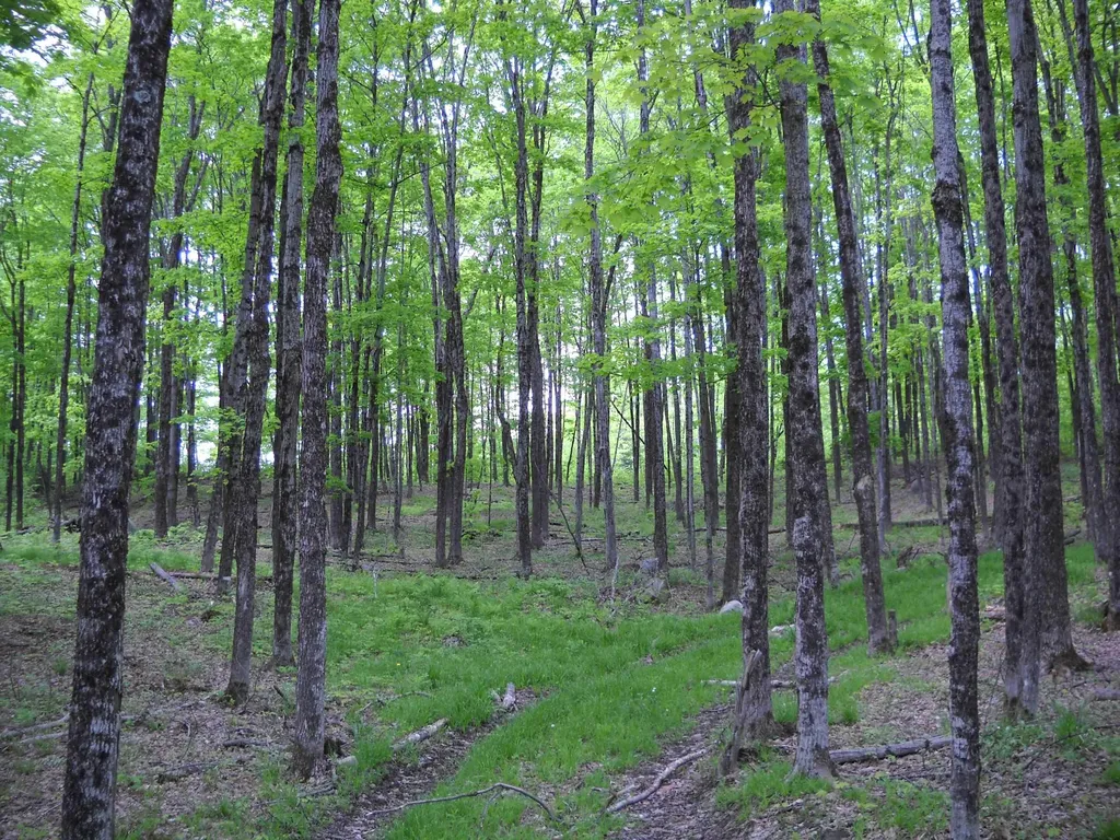 00 Peterson Road Topsham VT 05086