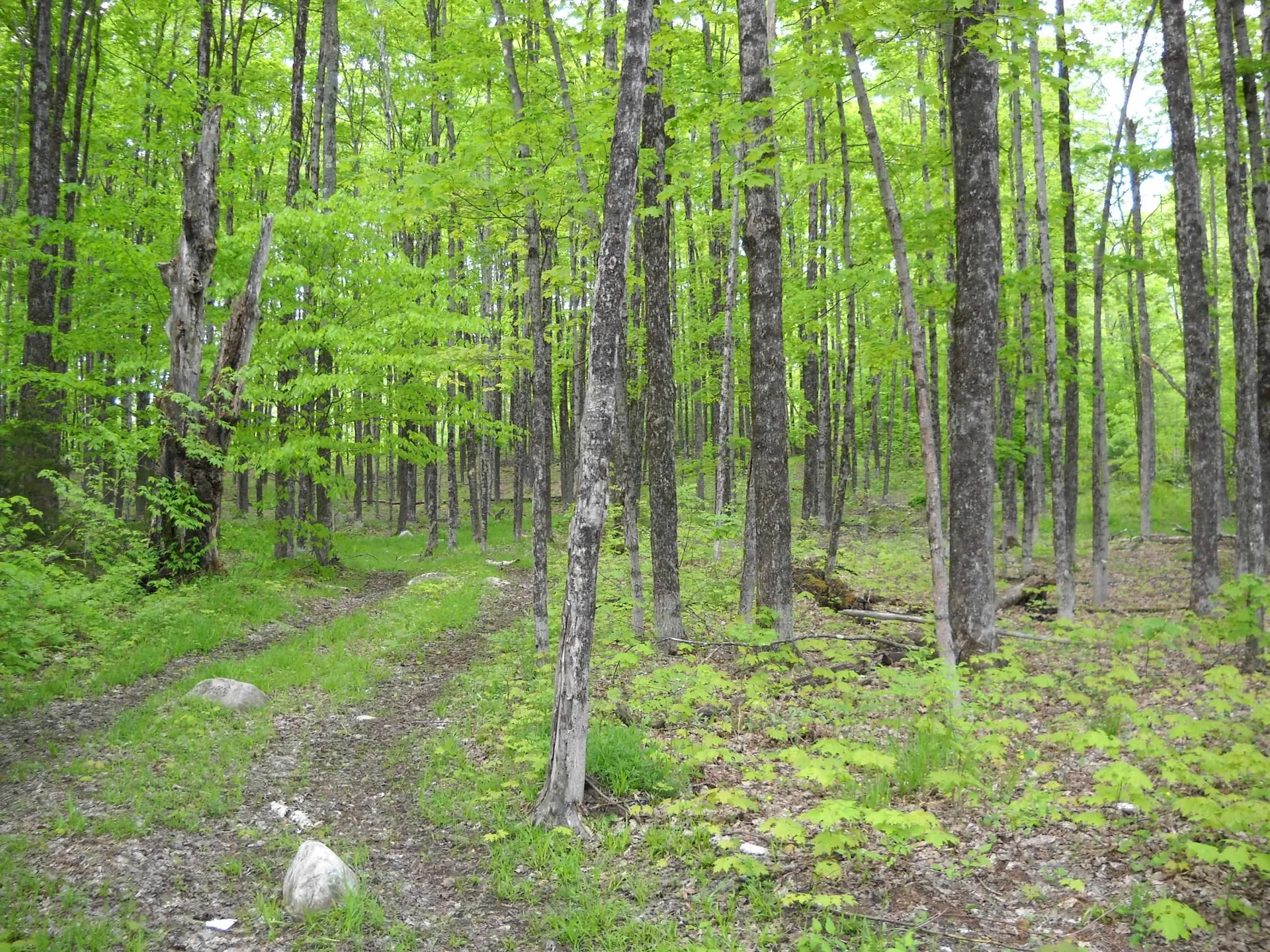 00 Peterson Road Topsham VT 05086