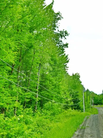 0 Franconia Mountains Road Franconia NH 03580