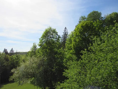 112 Hawkins Road Dummer NH 03588