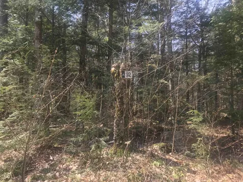 91 Spring Court Wilmington VT 05363