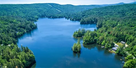 529 Nudist Camp Road Chester VT 05143