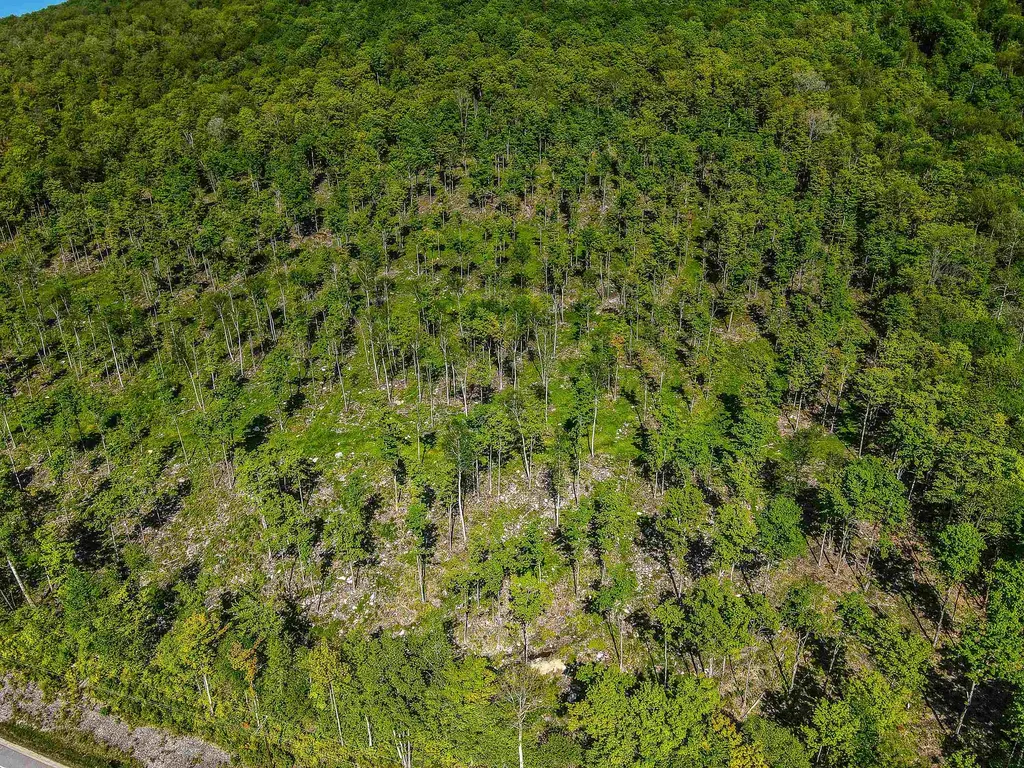 0 Route 115 Carroll NH 03595