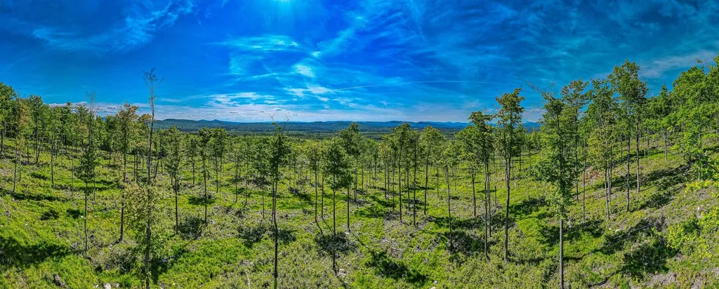 0 Route 115 Carroll NH 03595