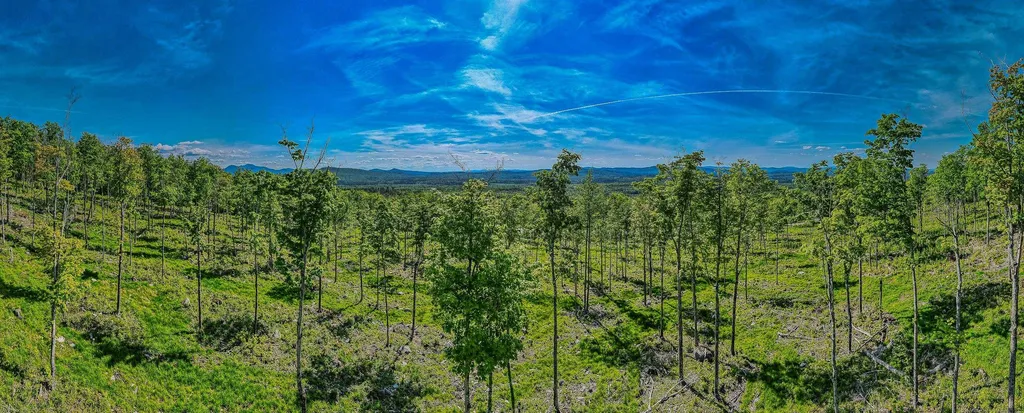 0 Route 115 Carroll NH 03595