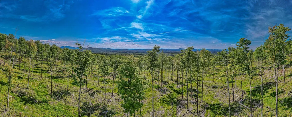 0 Route 115 Carroll NH 03595