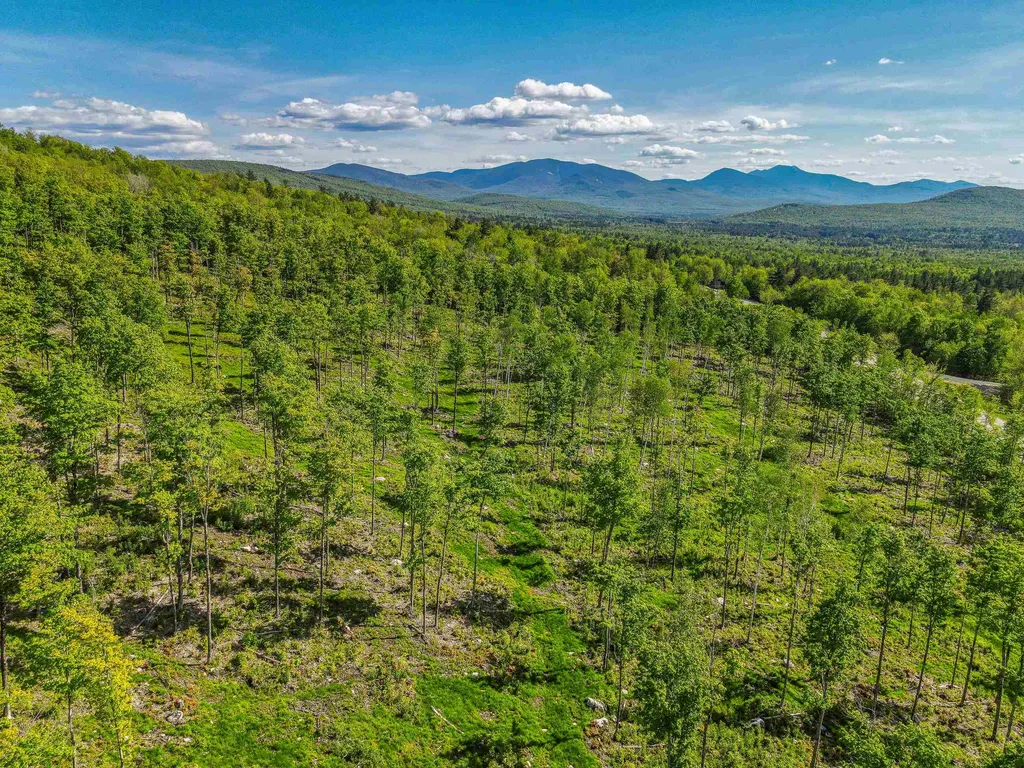 0 Route 115 Carroll NH 03595