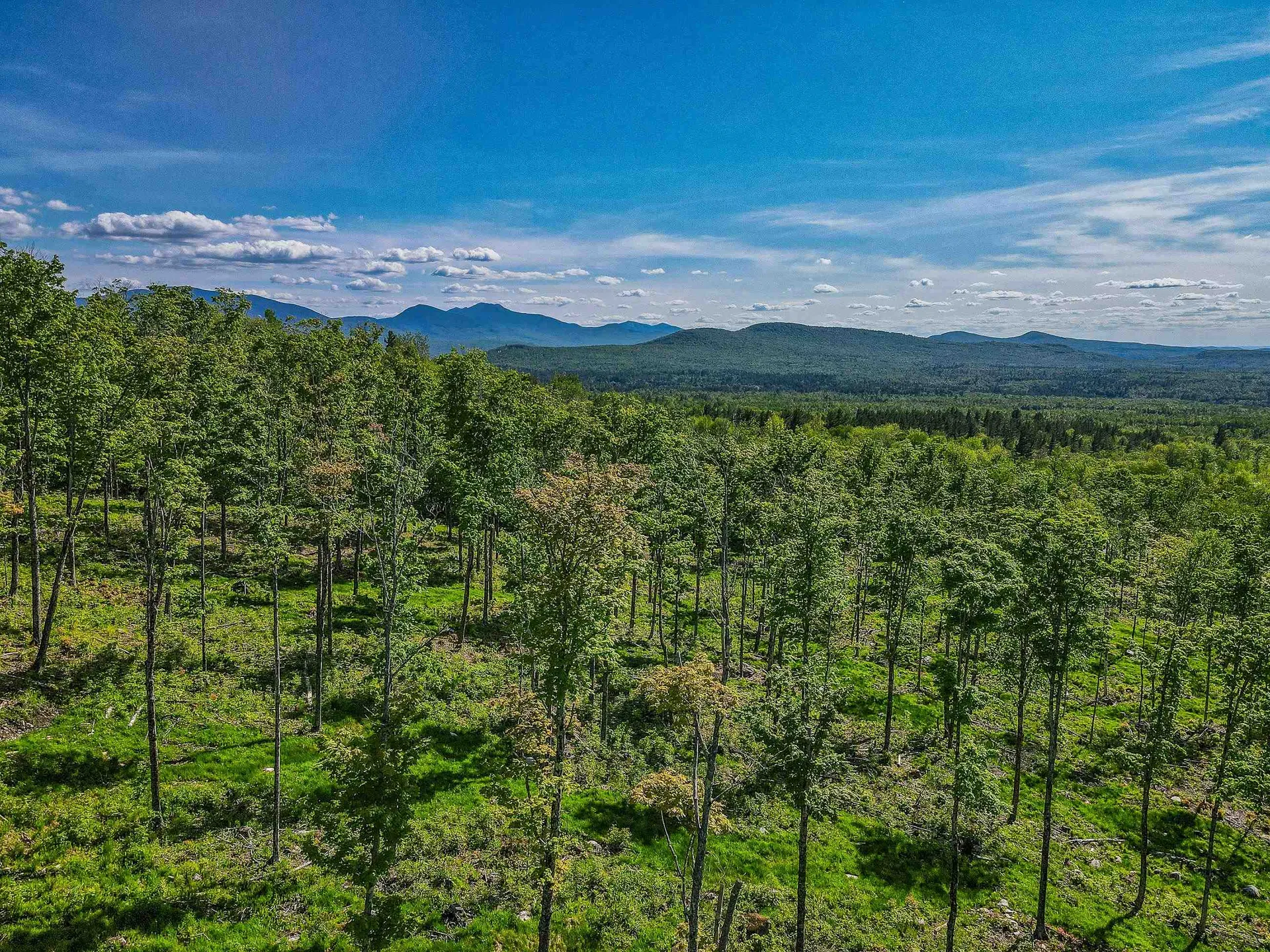 0 Route 115 Carroll NH 03595