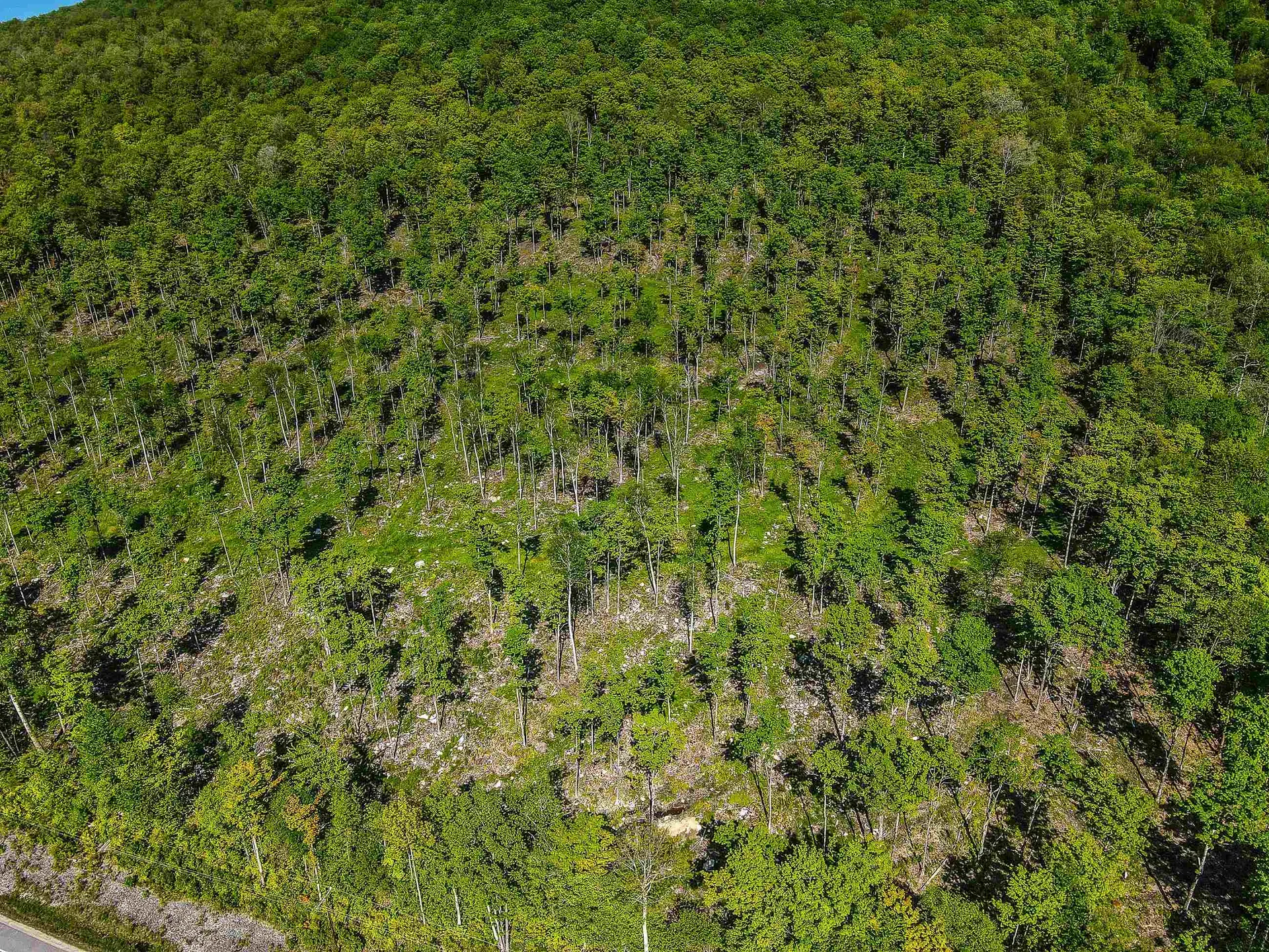 0 Route 115 Carroll NH 03595