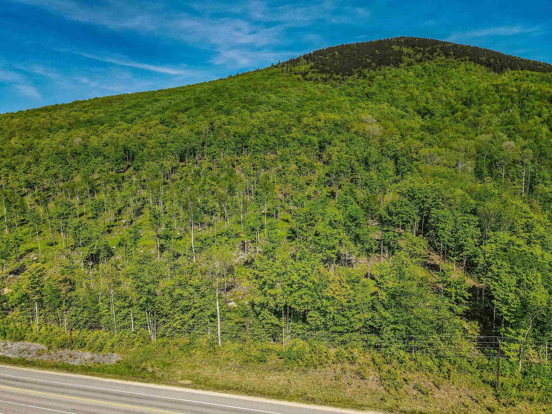 0 Route 115 Carroll NH 03595