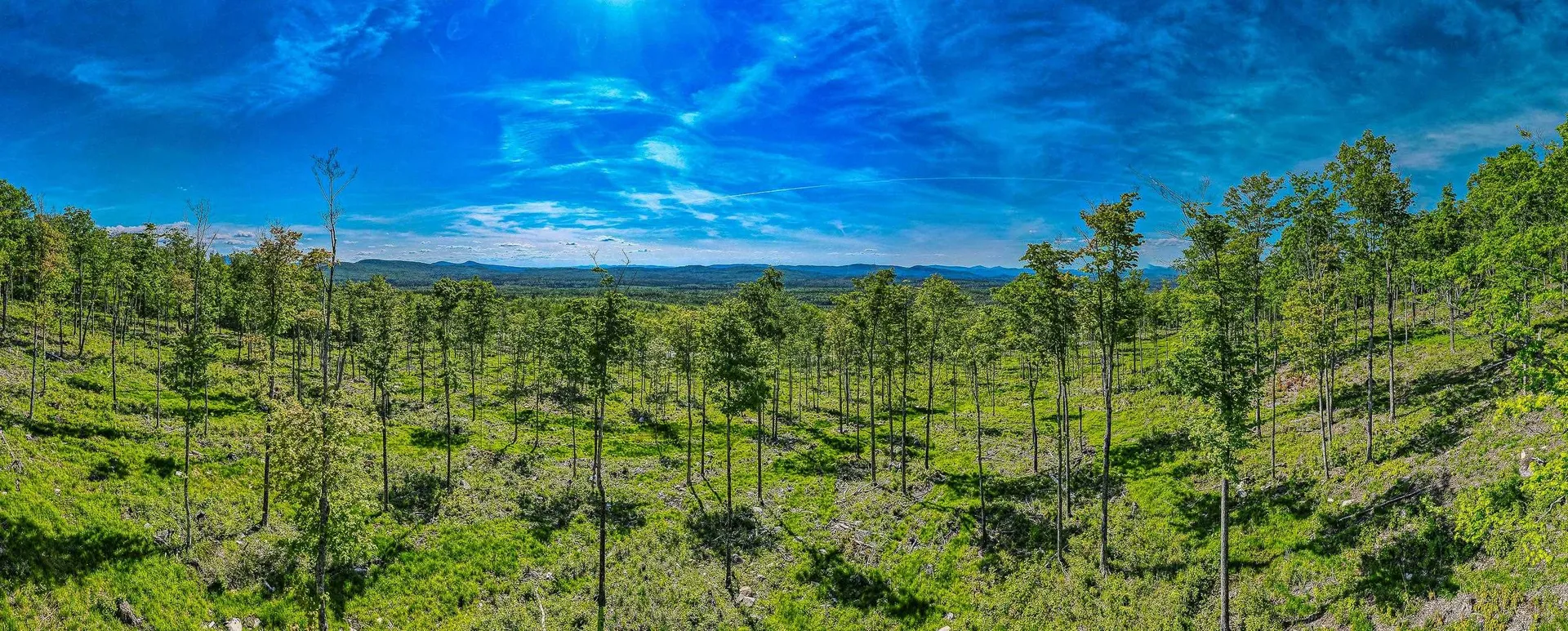 0 Route 115 Carroll NH 03595