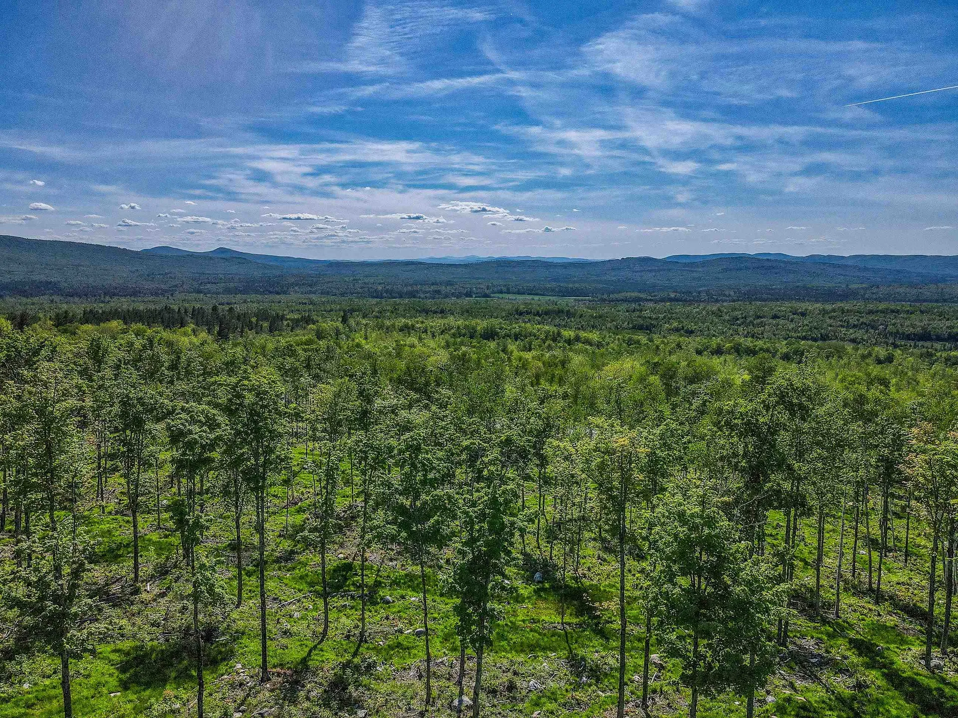 0 Route 115 Carroll NH 03595