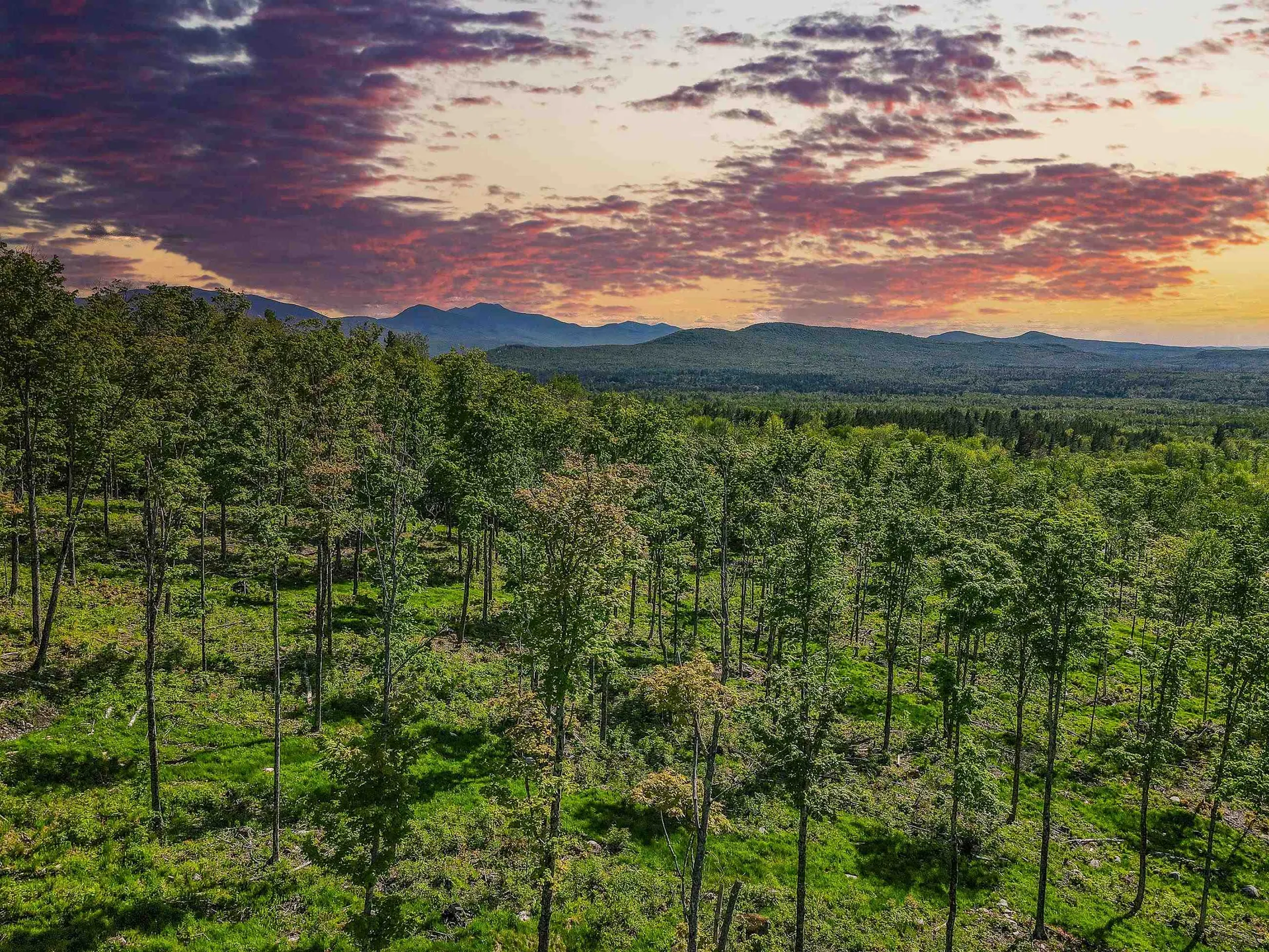 0 Route 115 Carroll NH 03595