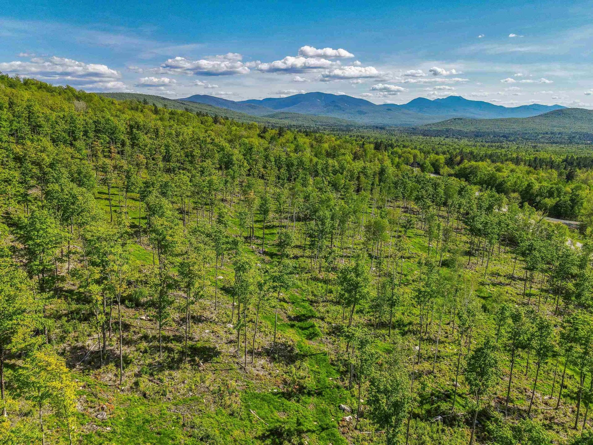 0 Route 115 Carroll NH 03595