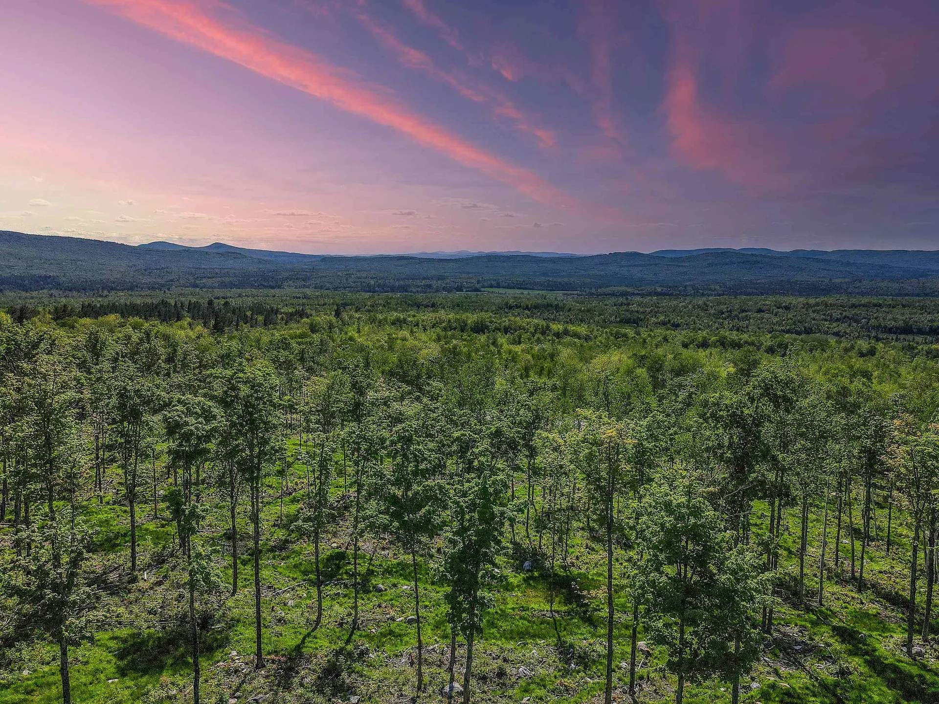 0 Route 115 Carroll NH 03595