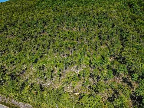 0 Route 115 Carroll NH 03595