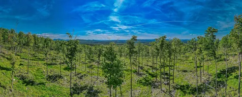 0 Route 115 Carroll NH 03595