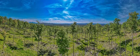 0 Route 115 Carroll NH 03595