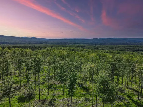 0 Route 115 Carroll NH 03595