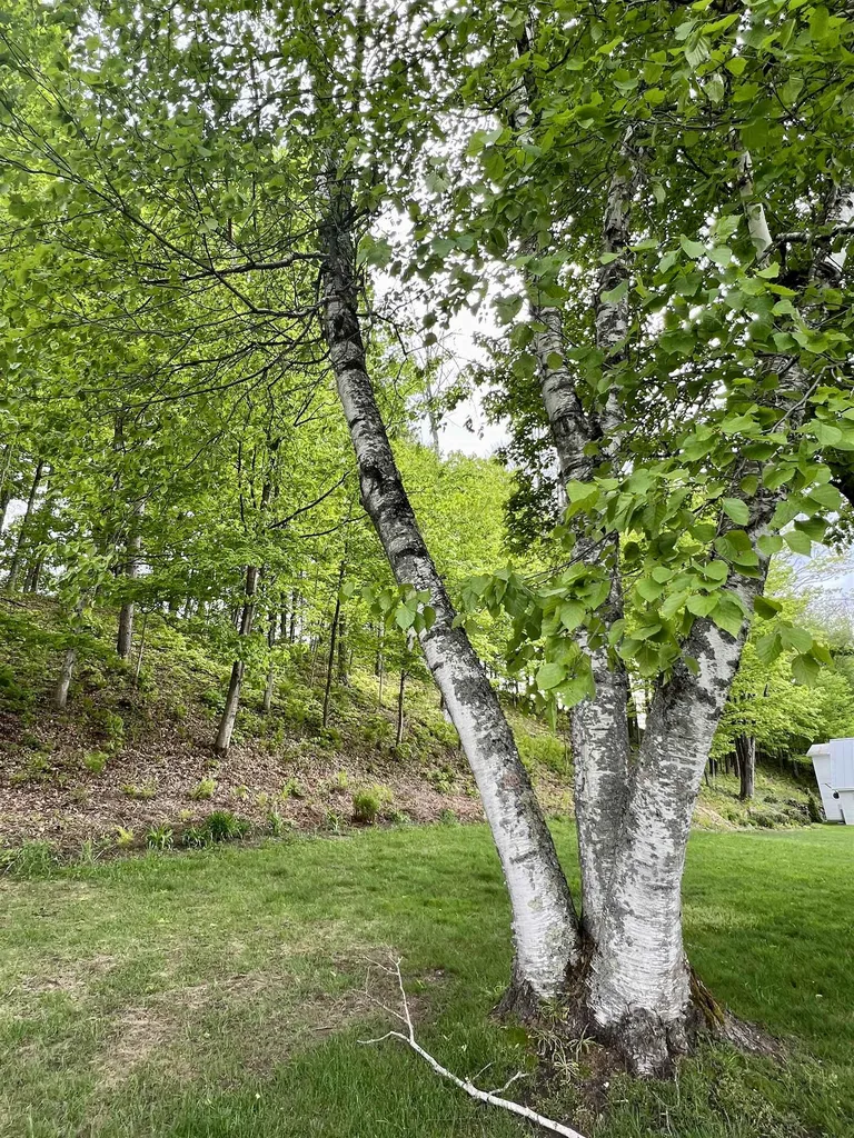146 River Street Hartford VT 05059