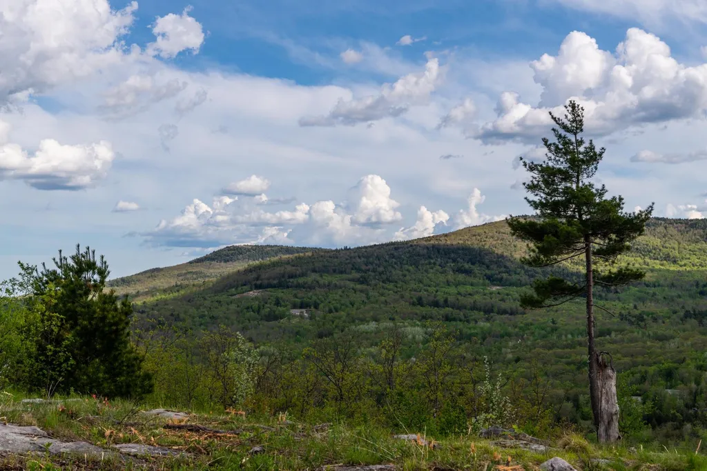 0 Cherry Valley Road Alton NH 03809