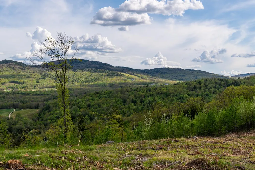 0 Cherry Valley Road Alton NH 03809