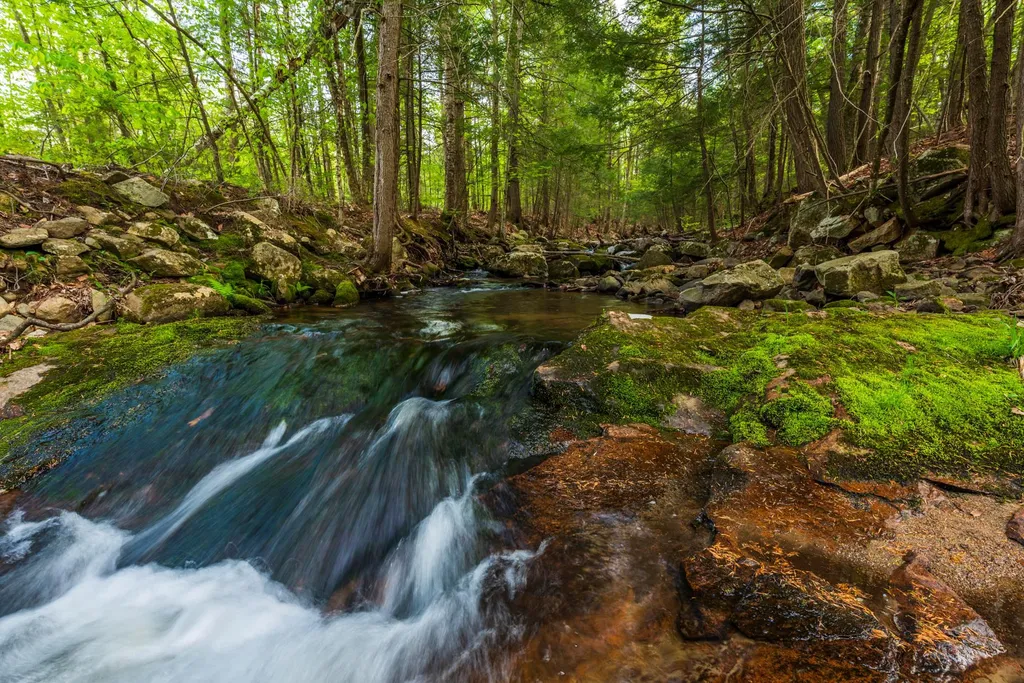 0 Cherry Valley Road Alton NH 03809