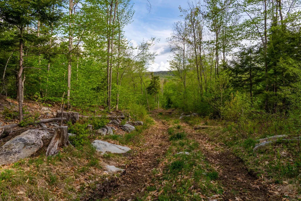 0 Cherry Valley Road Alton NH 03809