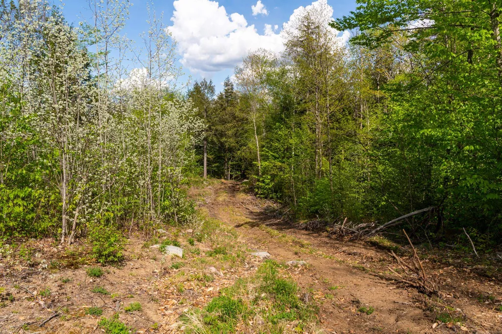 0 Cherry Valley Road Alton NH 03809