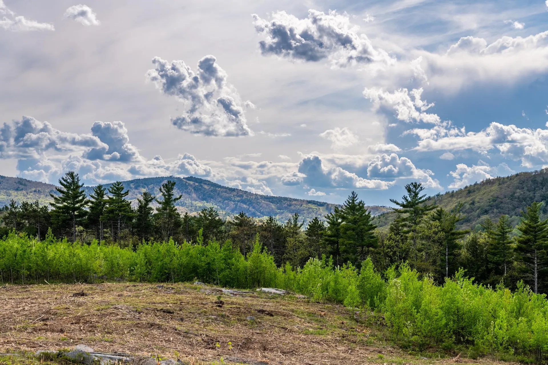 0 Cherry Valley Road Alton NH 03809