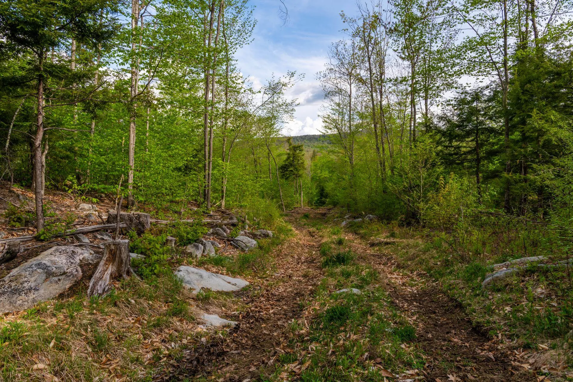 0 Cherry Valley Road Alton NH 03809