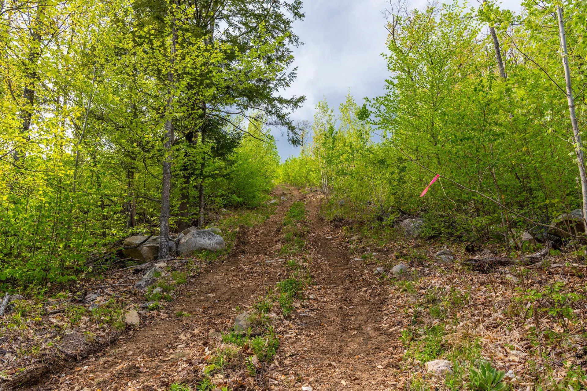 0 Cherry Valley Road Alton NH 03809