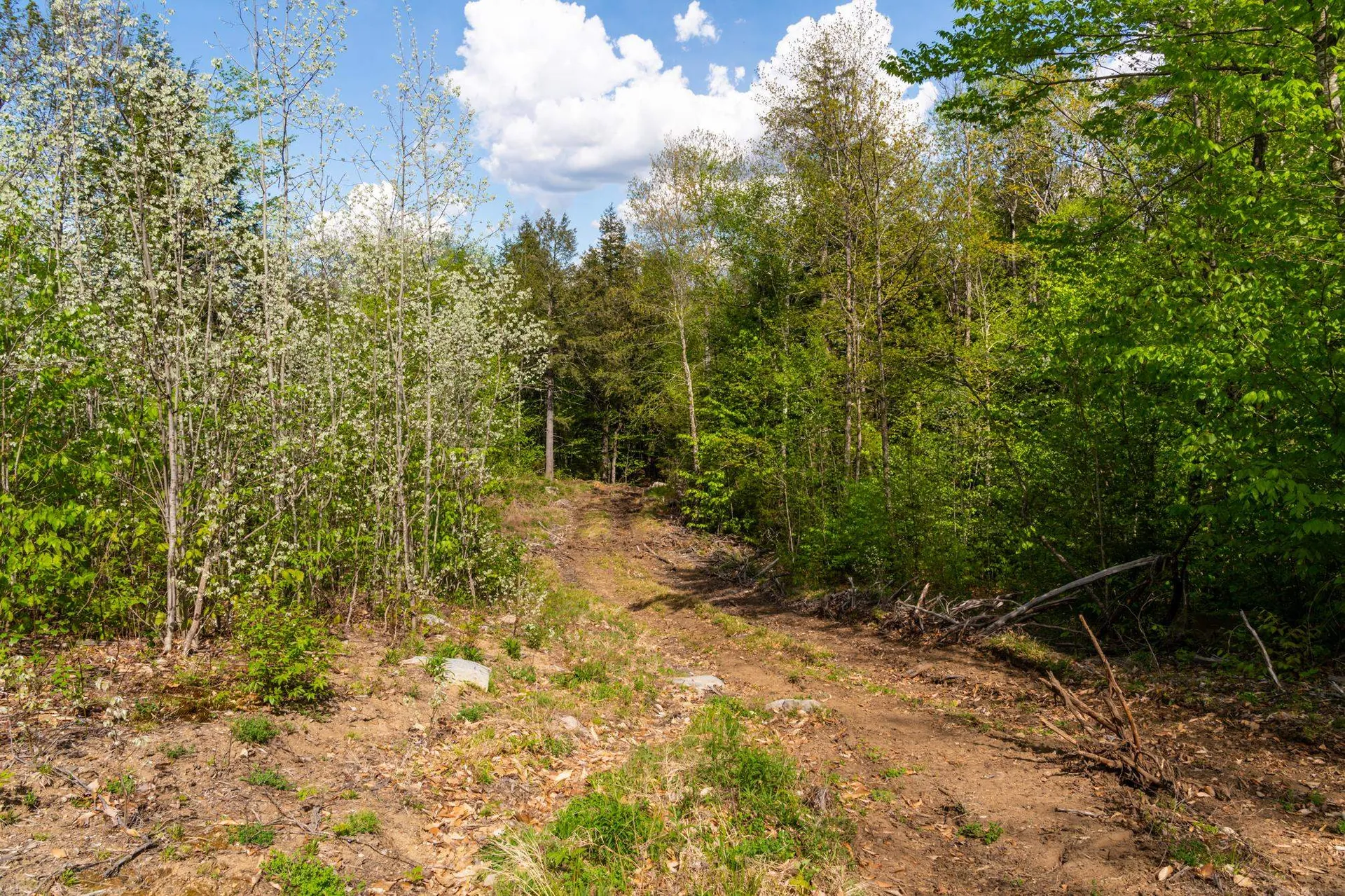 0 Cherry Valley Road Alton NH 03809