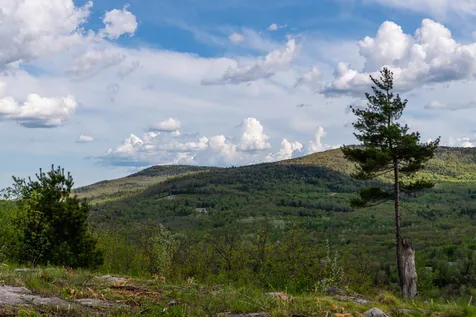 0 Cherry Valley Road Alton NH 03809