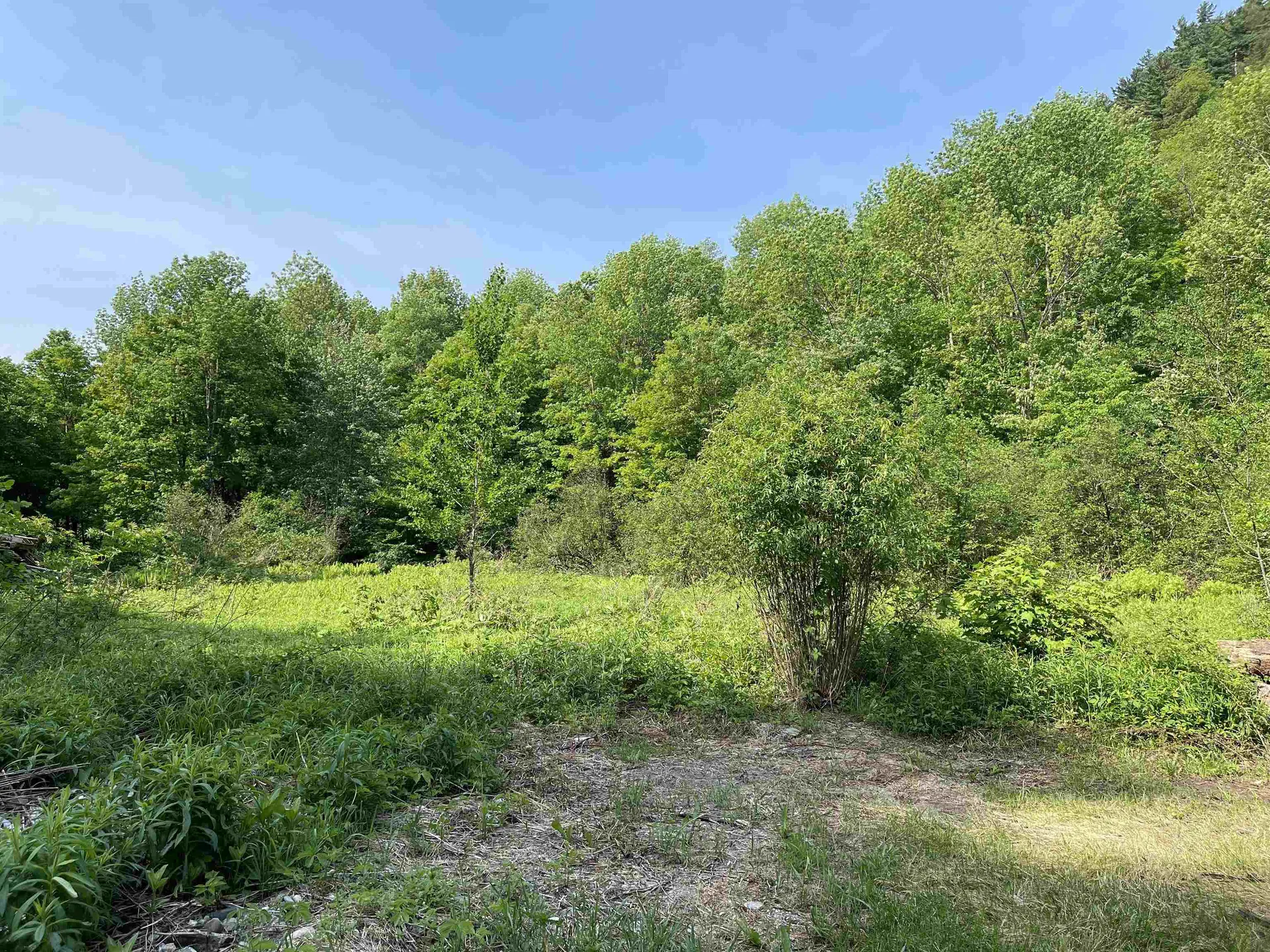 80 Stokes Hill Road Starksboro VT 05487