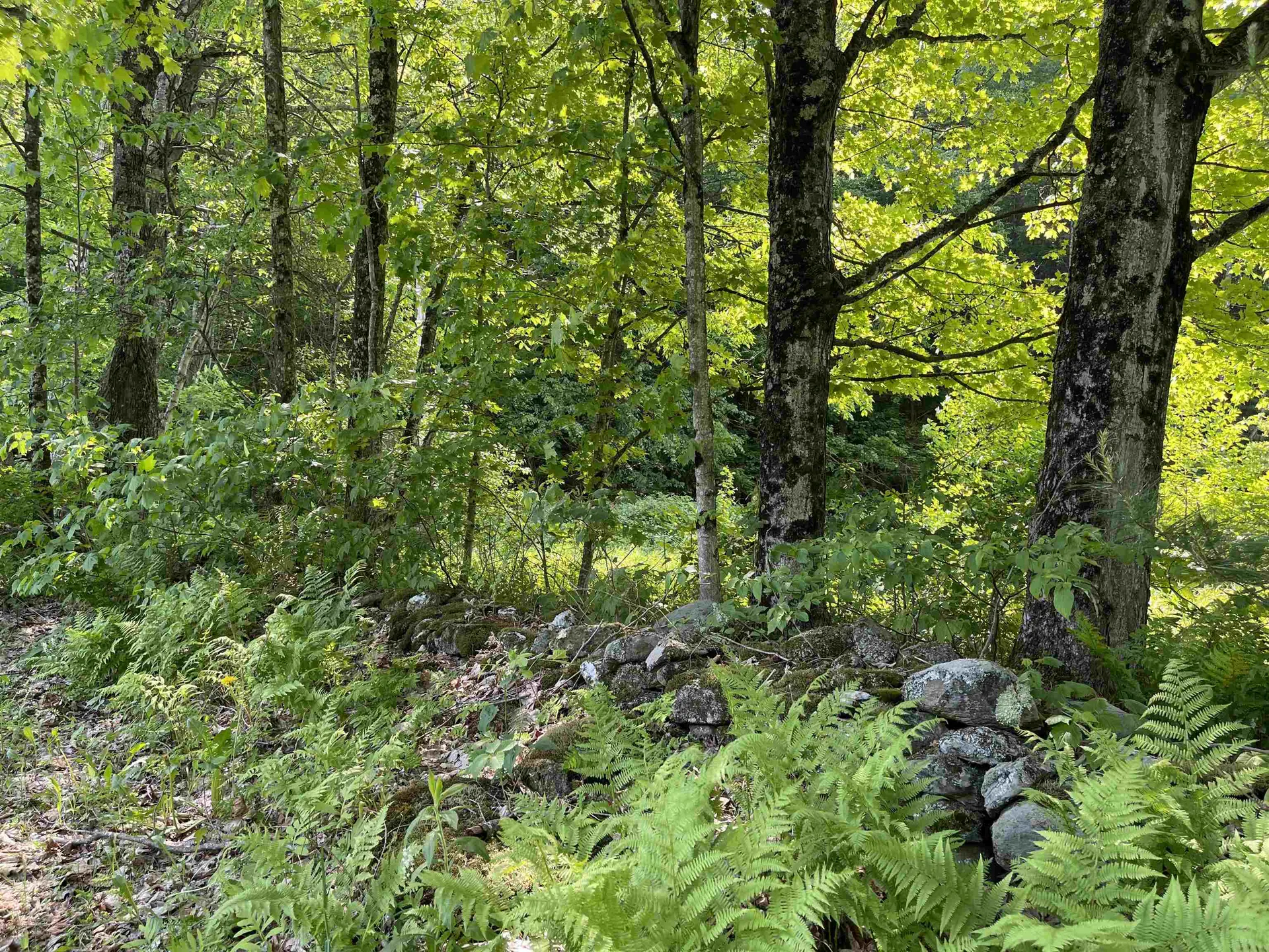 80 Stokes Hill Road Starksboro VT 05487