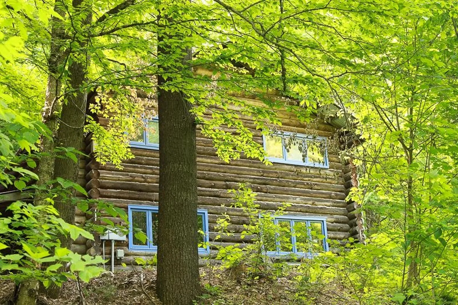 80 Stokes Hill Road Starksboro VT 05487