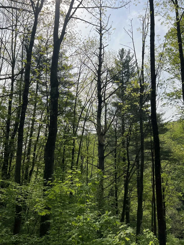 649 Us Route 4 Bridgewater VT 05034