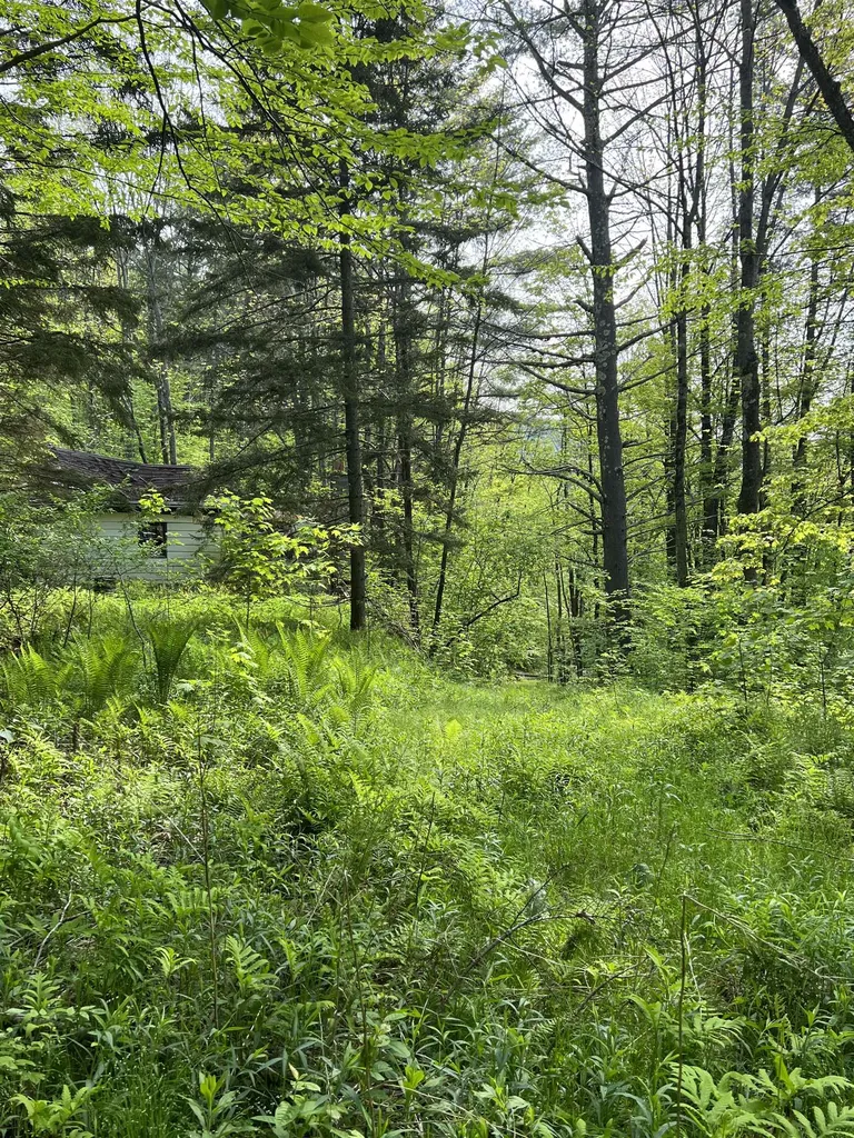 649 Us Route 4 Bridgewater VT 05034