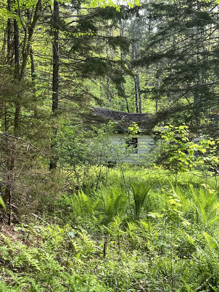 649 Us Route 4 Bridgewater VT 05034